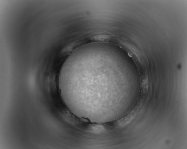 X0000103140572200808291341