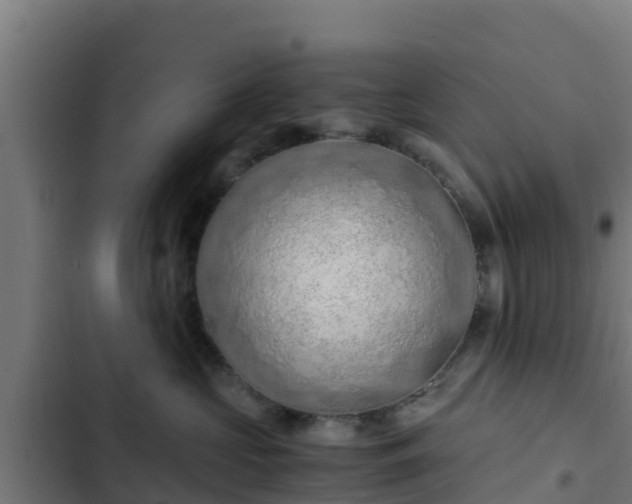 X0000103140573200808291341