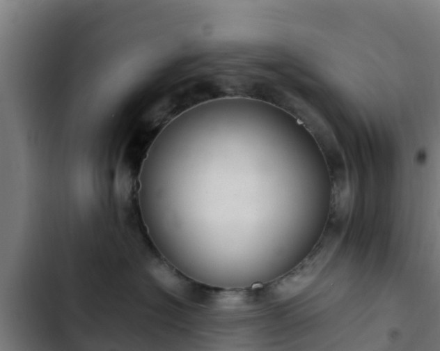 X0000103140574200808291341