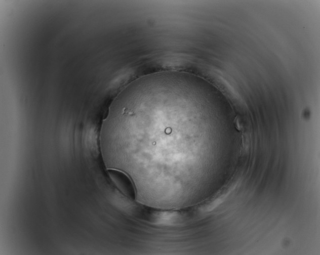 X0000103140575200808291341