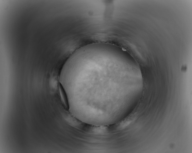 X0000103140576200808291341