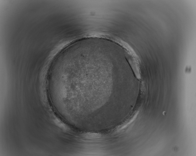 X0000103140577200808291341