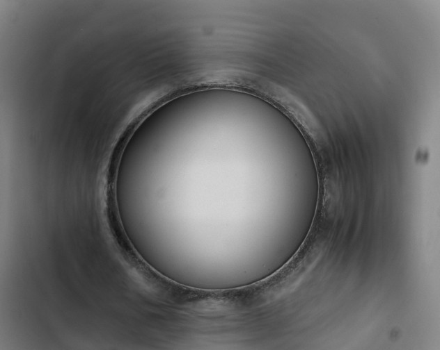 X0000103140578200808291341