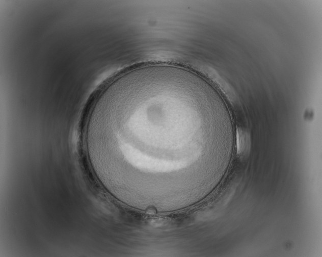 X0000103140579200808291341