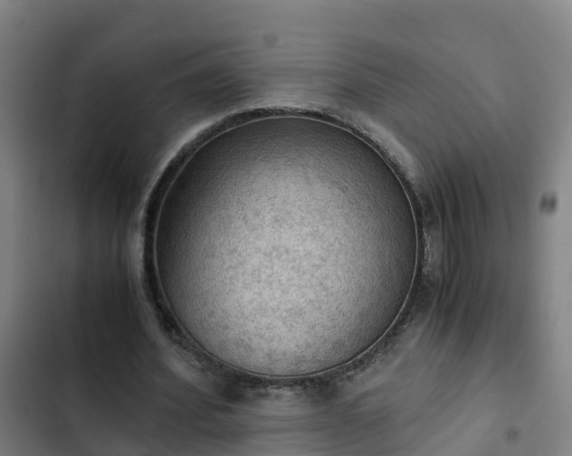 X0000103140580200808291341