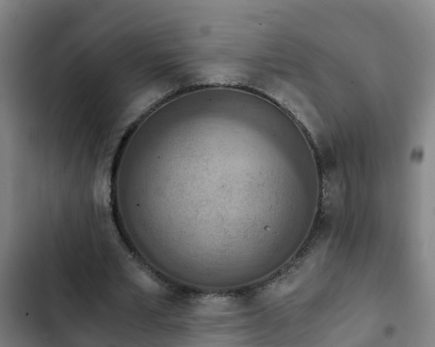 X0000103140581200808291341