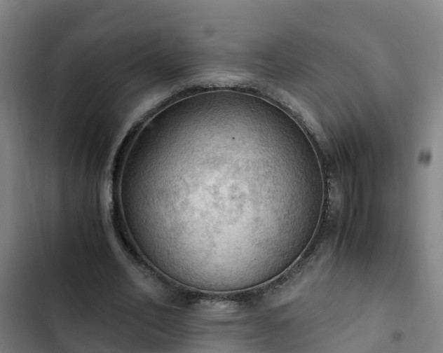 X0000103140582200808291341