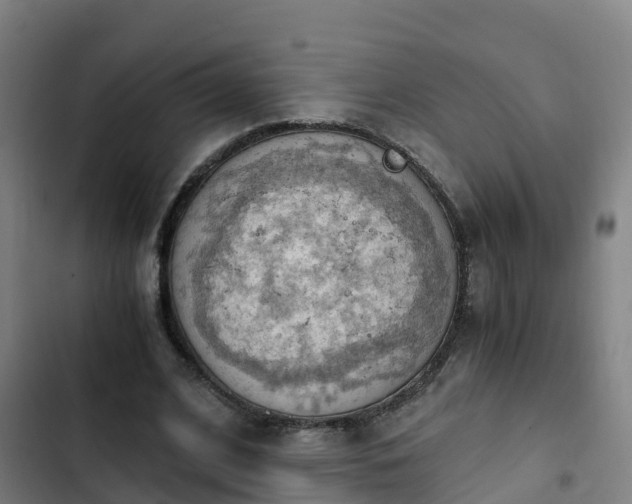 X0000103140584200808291341