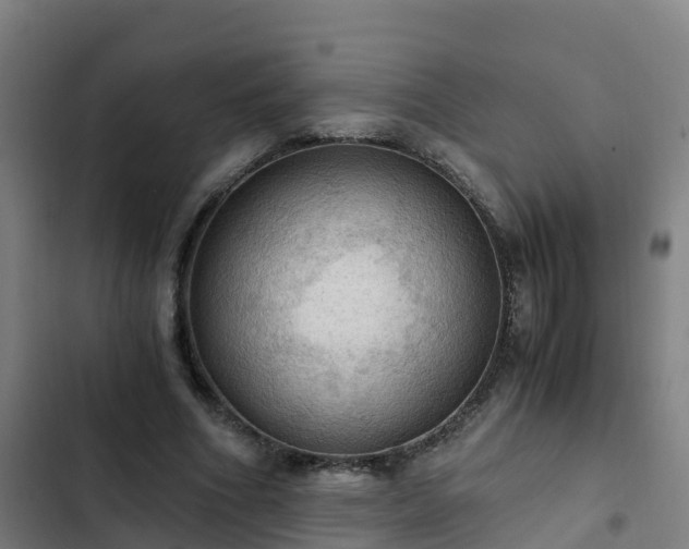 X0000103140586200808291341