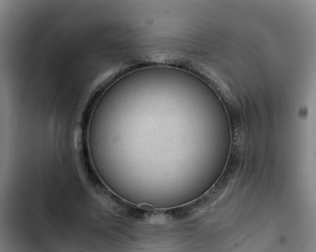 X0000103140587200808291341