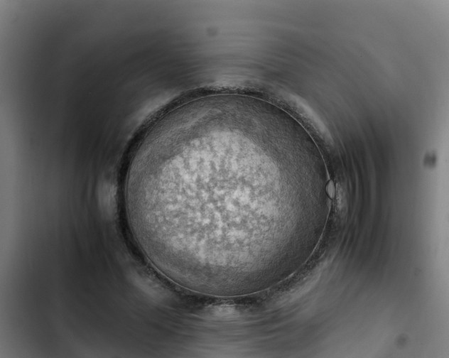 X0000103140588200808291341