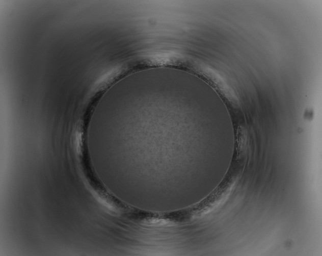 X0000103140590200808291341