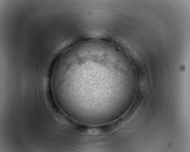 X0000103140591200808291341