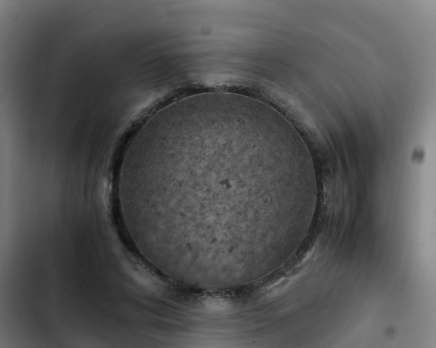 X0000103140592200808291341