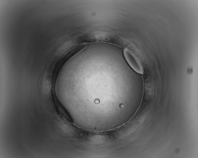 X0000103140593200808291341