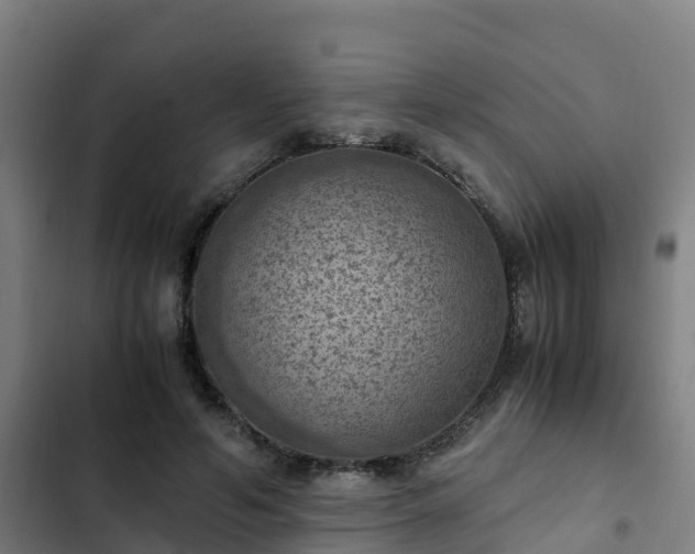 X0000103140594200808291341