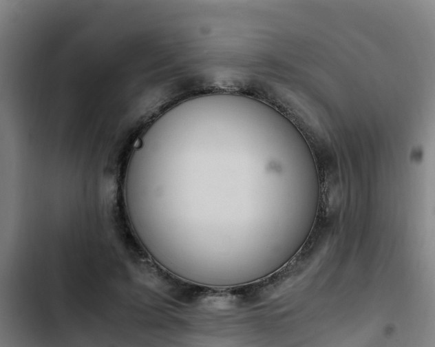 X0000103140595200808291341