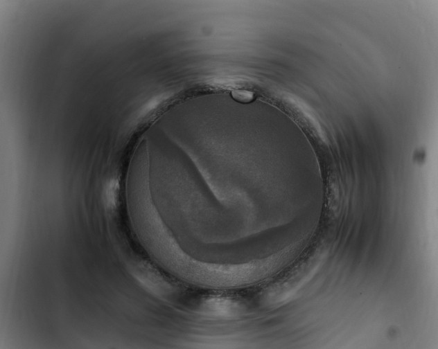 X0000103140596200808291341