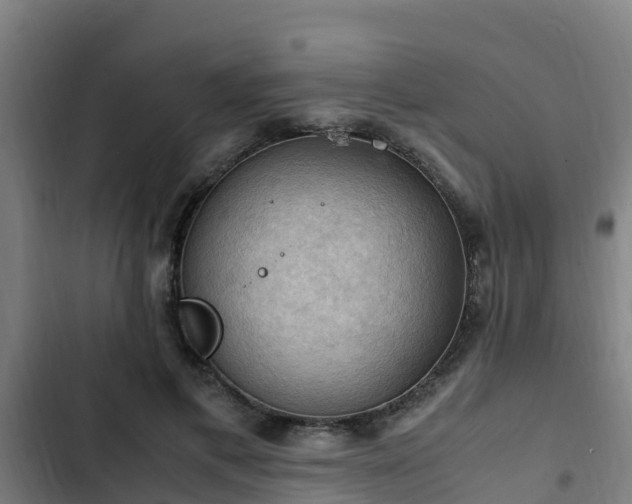 X0000103140597200808291341