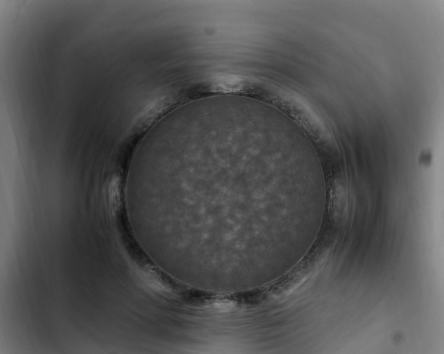 X0000103140598200808291341