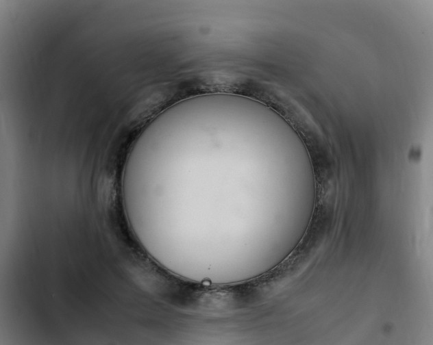 X0000103140599200808291341