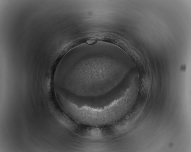 X0000103140600200808291341