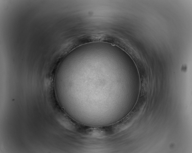 X0000103140601200808291340