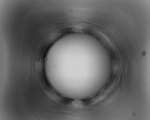 X0000103140603200808291340