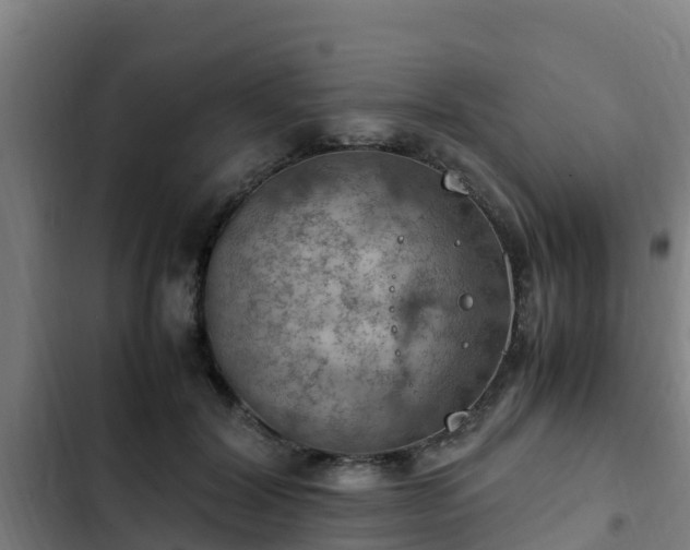 X0000103140604200808291340