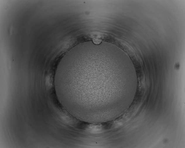 X0000103140606200808291340