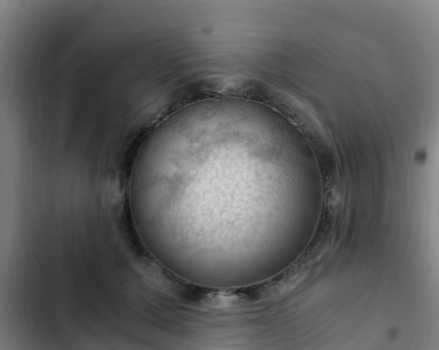 X0000103140607200808291340