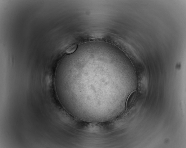 X0000103140608200808291340