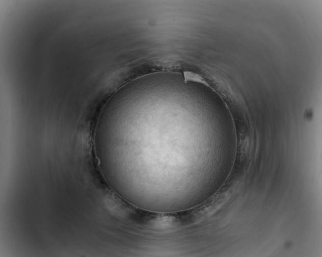 X0000103140609200808291340