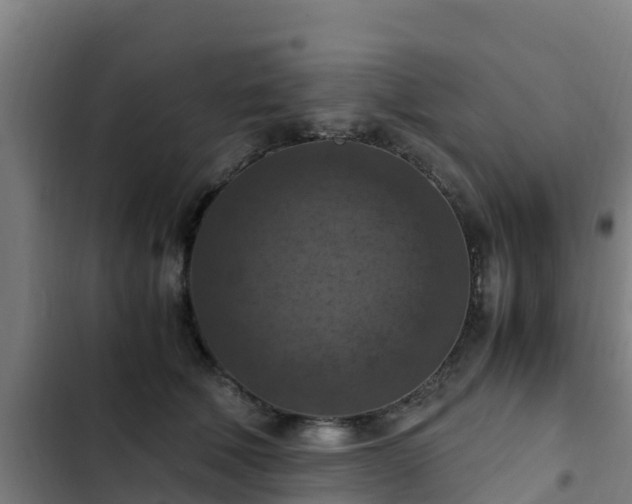 X0000103140610200808291340