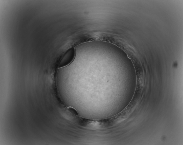 X0000103140611200808291340