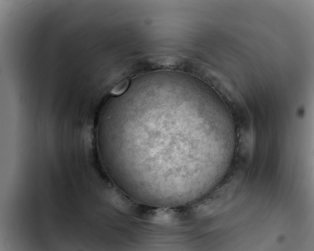 X0000103140612200808291340