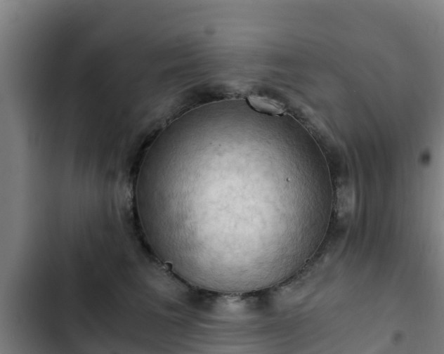 X0000103140613200808291340