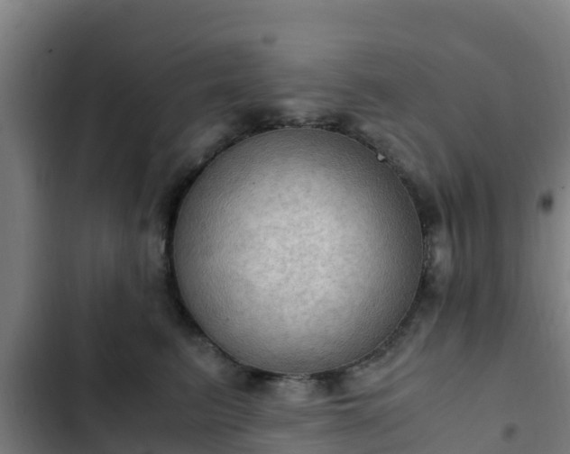 X0000103140615200808291340