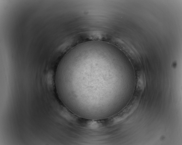 X0000103140616200808291340