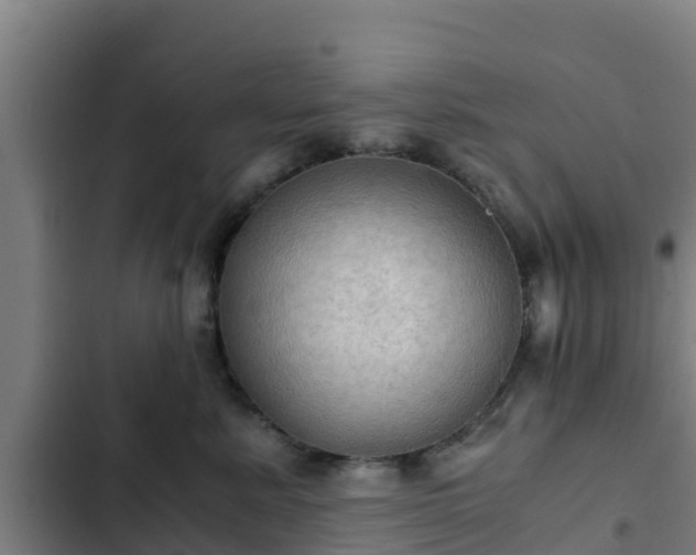 X0000103140619200808291340