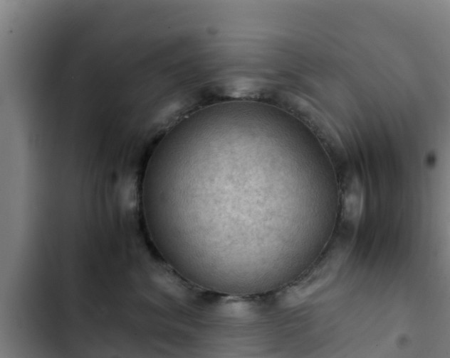 X0000103140620200808291340