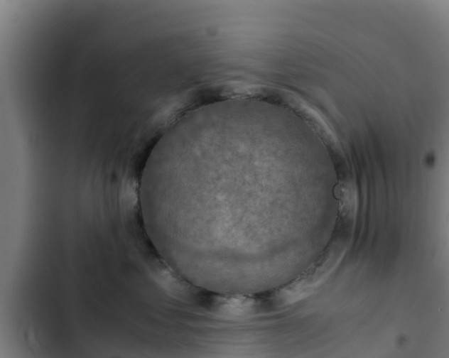 X0000103140621200808291340