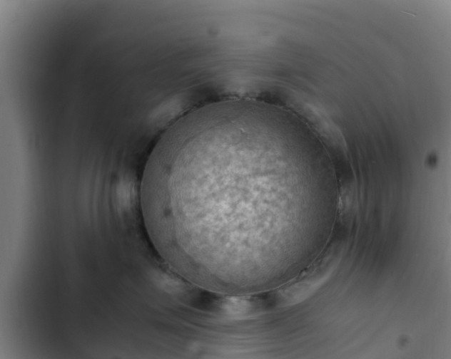 X0000103140623200808291340