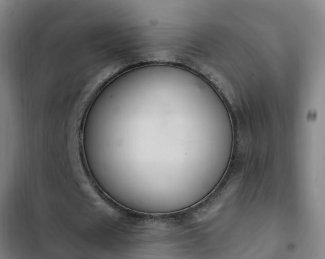 X0000103140625200808291339