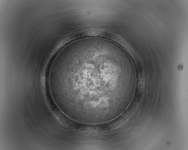 X0000103140626200808291339