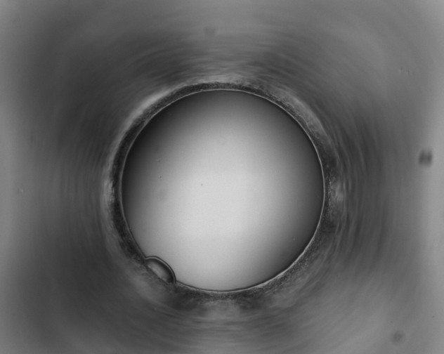 X0000103140628200808291339