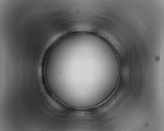 X0000103140629200808291339