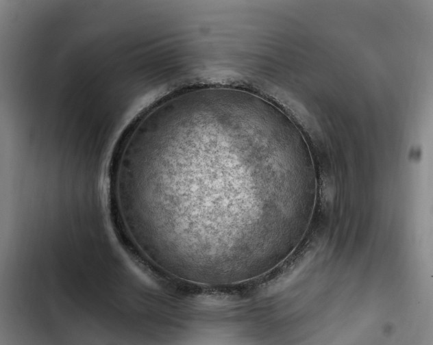 X0000103140630200808291339