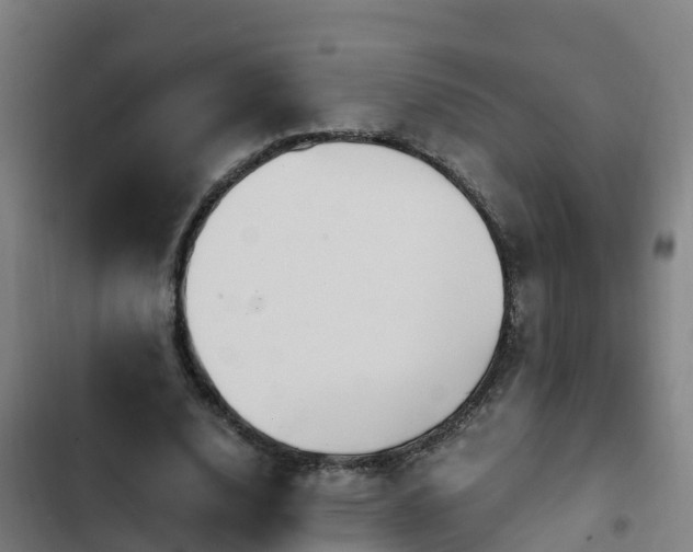 X0000103140632200808291339