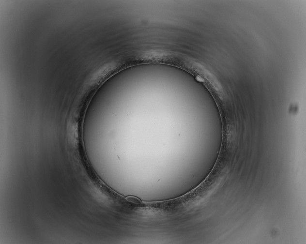 X0000103140633200808291339